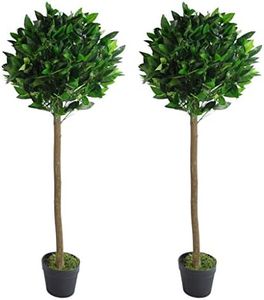 Leaf Desig