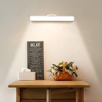 Hapfish Rechargeable Battery LED Li