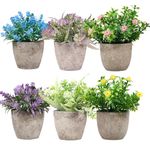 crayfomo 6 Pack Artificial Plants in Pots Mini Fake Plant Greenery Flowerpot, Faux Plants Indoor with Plastic Pot for Office Home Bedroom Living Room Bathroom Desk