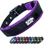 Black Rhino - The Comfort Collar Ultra Soft Neoprene Padded Dog Collar for All Breeds - Heavy Duty Adjustable Reflective Weatherproof (Large, Purple/Bl)