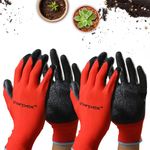 Sharpex Heavy Duty Gardening Hand Gloves for Home Garden | Breathable Latex Coated Safety Gloves for Farming, Weeding, Planting, Picking fruits, and Multipurpose Outdoor Work (2 Pair, Red and Black)