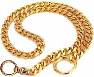 4PAWS Dog Collar Chain, Brass Golden Chrome Plated Dog Collar for Dogs Golden Choke Chain (Super Strong, 24 Inches)