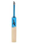 Reebok Master Blaster Kashmir Willow Cricket Bat (Short Handle, Light Weight, Pre-Knocked: Ready to Play)