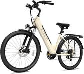 Electric Bike ZA02, 750W Peak Motor