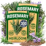 HOME GROWN Rosemary Seeds Pack - 300 High Germinating Non-GMO Heirloom Herb Seeds for Planting in Indoor or Outdoor Herb Gardens - USA Sourced (Salvia rosmarinus)