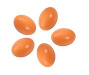 Fake Eggs Dummy Eggs Hens Eggs Wooden Eggs for Induction of Eggs Fake Nest Eggs