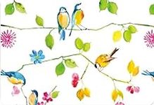 Watercolor Birds Note Cards (Statio