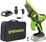 Greenworks 24V Mini Chainsaw 4 Inch (10cm) Cordless Battery Powered Chainsaw with 2Ah Battery, 7.8m/s Chain Speed Electric Chainsaw for Tree Branches, Garden Cutting, Courtyard & Household