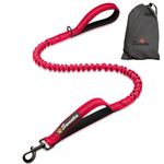 Sweetie Bungee Dog Lead - Shock Absorbing Leash that Softens Pulls & Stops – Neoprene Padded Loop & Traffic Handles for Extra Comfort - Reflective for Safer Night Walking.