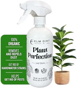 Elm Dirt Plant Perfection Spray for All Plants - Leaf Shine Spray for Indoor Plants & Outdoor Plant Food | Natural Plant Spray for Cleaning Off Dust & Spots, Plant Leaf Cleaner 16oz