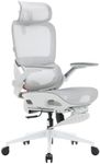 SIHOO B100 Pro Ergonomic Office Cha