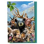 Tree-Free Greetings EcoNotes 12 Count Rocky Mountain Selfie All Occasion Notecard Set with Envelopes, 4 x 6 Inches (FS56909)