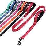 VIVAGLORY Traffic Handle Dog Lead, Soft Two Padded Handles Dog Leash, Strong Reflective & Metal Hook Training Dog Lead, Red