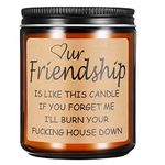 Funny Gifts for Friends,Gifts for Best Friend Women Men,Christmas Gifts for Friends,Funny Birthday Gifts for Friend,Friendship Gifts for Women Candle Gift (Friendship)