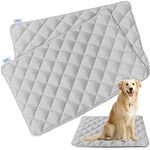 Dog Crate Pad 2 Pack (30" x 19"), S
