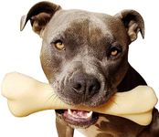 Nylabone Power Chew Extreme Chewing Big Chew Durable Toy Bone for Large Breeds, Monster Bone