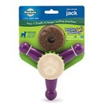 PetSafe Busy Buddy Jack Dog Challenging – Tough Chewers – Treat Rings Included – Small, Medium, Large