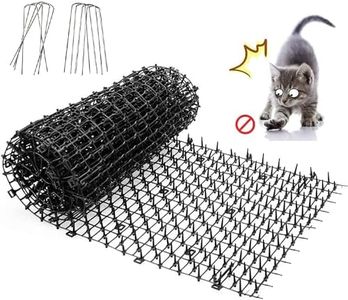 Cat Scat S