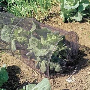 BestNest Gardman Netting Grow Tunnels, 20" W x 120" L, Pack of 8