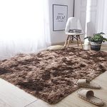 Vafodo Soft Area Rugs for Bedroom Living Room Ultra Soft Modern Fluffy Throw Carpets for Girls Boys Kids Room Shaggy Fluffy Rugs (3X5Feet, Brown)