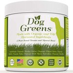 Dog Greens - Superfood Rich in Anti