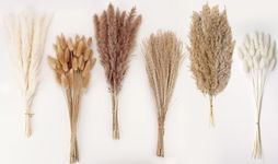 Artificial Pampas Grass Decor, 120 PCS Pampas Grass with Bunny Tails Dried Flowers, Reed Grass Bouquet for Wedding, Boho Flowers, Home Table Decor, Rustic Farmhouse Party (White and Brown)