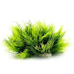 Smoothedo-Pets Aquarium Plants Fish Tank Decorations 2pcs Small Size/3.5inch Ornament Plastic Artificial Plant Goldfish Waterscape Fish Hides Mini Grass Set (2pcs/Green)