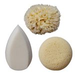 Ellie-Fant Baby Bath Sponge Pack of 3 – Includes Natural Sea Sponge Round Sponge Teardrop Sponge | Soft Safe Delicate and Truly Absorbent Sponges for Newborn Baby Toddler Bathing