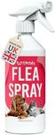 Petsly Flea Spray for the Home - 500ml - Max Strength, 100% Non-Toxic, Fast-Acting, Non-Staining, Long-Lasting Protection, Effective for Mattresses, Bedding, Furniture & Textiles - Family & Pet Safe
