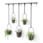 Umbra Triflora Hanging Planter for Window, Indoor Herb Garden, Set of 5, Black