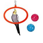 The Pets Company Bird Toys & Swings, Hanging Oval Rings for Love Bird, Cockatiel, Budgie, Finches, Sun Conure, Indian Parrot | Bird Swing with Bird Ball, Large & Small Set of 4