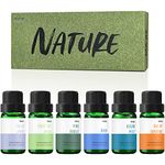 Fragrance Oil, MitFlor Nature Set of Scented Oils for Soap & Candle Making, Essential Oils for Diffusers for Home, Natural Aromatherapy Oil Gift Set, Ocean Mist, Rain, Pine Forest and More, 6x10ml