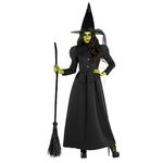 Morph Witch Costume for Women, Wicked Witch Costume Women's Witch Costume Adult Witch Costume Women Halloween Adult Woman Witch Costume Halloween Costumes for Women Medium