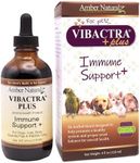 Amber NaturalZ Vibactra Plus Herbal Supplement for Dogs, Cats, Birds, Guinea Pigs, and Rabbits | Herbs for Immune Health and Yeast Balance | 4 Fluid Ounce Glass Bottle | Manufactured in The USA