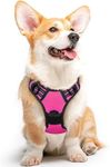 Eagloo Dog Harness No Pull, Walking