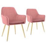 CHAIR CRAFT Velvet Upholstered Modern Accent Arm Chair for Living and Dining Room Mid-Century Club Guest Seat with Golden Legs Standard (Pack of 2) (Pink)