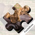 Jigsaw Puzzle: Dangerous Animals