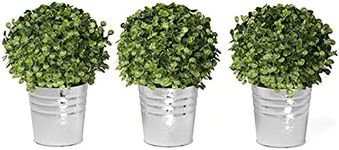 Barnyard Designs Set of 3 Artificial Potted Mini Boxwood Fake Plant Decorations, Faux Plant Greenery Arrangements in Pots for Office Desk or Home Décor (Boxwood)