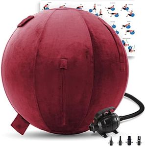 Exercise Ball 65cm/26in, Light Purple Mirco Plush Soft Cover with Electric Quick Pump For Yoga, Pilates, Fitness Balance Stability, Office Ball Chair Seat. Soft & Slip Resistant, Pro Guide