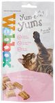 Webbox Yum-e-Yums Semi-Moist Salmon Flavour Tasty Treats, 40g