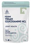 PURICA Vegan Equine Glucosamine - 1kg - Premium Joint Supplement for Enhanced Movement