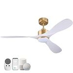 52″Smart Ceiling Fans with Lights R