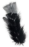 Darice 1019-12 Decorative Feathers,