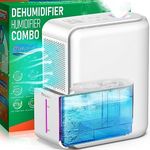 Dehumidifier and Humidifier Combo 2