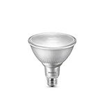 Philips LED Indoor/Outdoor Dimmable