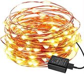 EShing 100LED 33ft String Lights, P