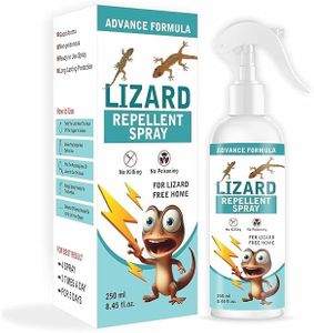 Lizard Rep