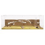 AntHouse - Natural sand ant farm - Big acrylic starter set 30x15x10 cm (ants)