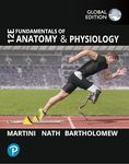 Fundamentals of Anatomy and Physiology, Global Edition