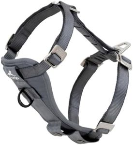 Kurgo Enhanced Strength TRU-Fit Hundegeschirr - Sicherheitsgeschirr für Haustiere auf Reisen - Crash-Test-zertifiziertes Design - An Fünf Punkten Verstellbar - Gepolsterte Brustpartie - Anthrazit - L